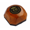 Brown Single Call Pager APE560M